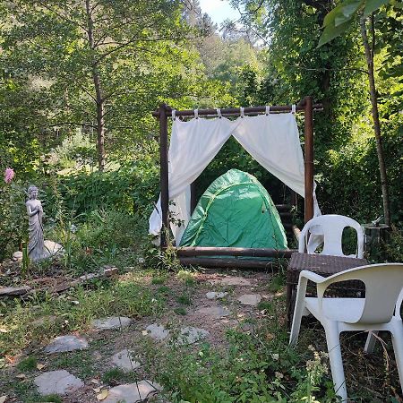 Tente Dans Gazebo Thai Dans Jardin En Bord De Riviere Saint-André-de-Valborgne Dış mekan fotoğraf